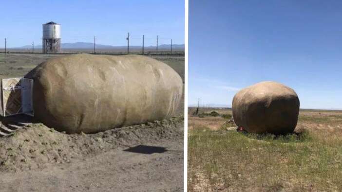 Devasa bir patates gibi göründüğüne aldanmayın! İçine girenler donup kalıyor...