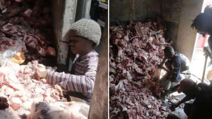 Açlık krizinin boyutu dehşete düşürdü! Vatandaşlar hayvan leşlerine hücum etti...