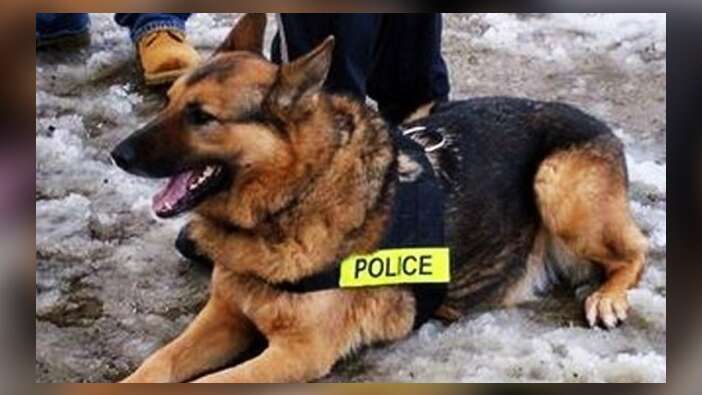 Çalınan eroini için polisten köpek istedi!