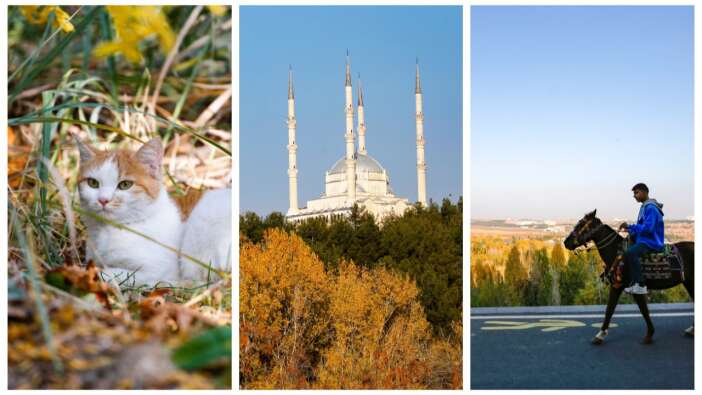 Medeniyetler şehri Diyarbakır'dan eşsiz sonbahar manzaraları