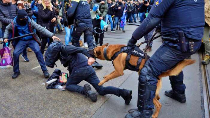 Hollanda'da polis köpeğinin ısırdığı göstericiyi polisler copladı!
