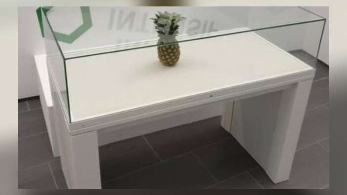 Şaka olarak bırakılan ananas, sanat eseri diye sergilendi!
