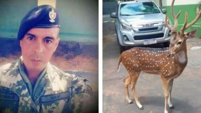 Devlet Başkanlığı konutuna geyik saldırısı: 1 muhafız öldü!
