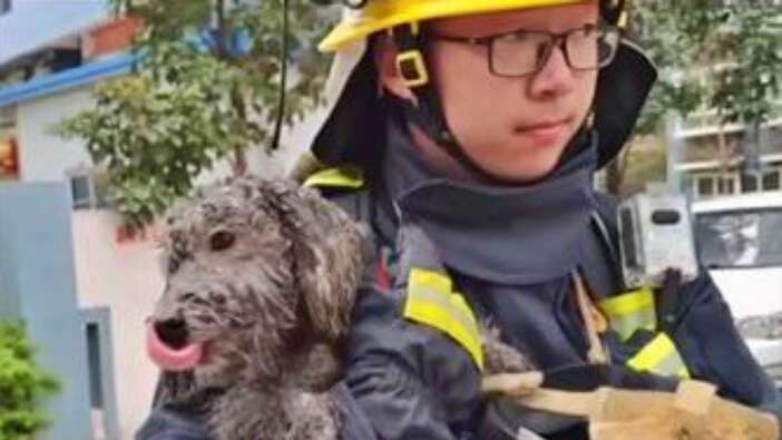 Balkona sığınan köpeği alevlerin elinden son anda kurtardılar!