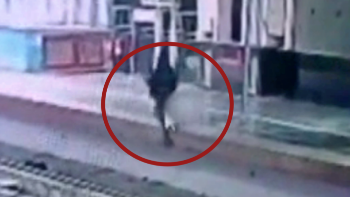 Telefonuyla ilgilenirken tren raylarının üzerine düştü!