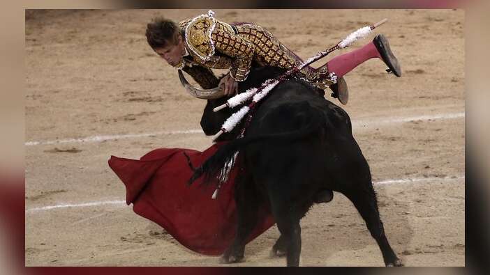 Ünlü matador ölümden döndü...