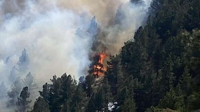 ABD’nin Colorado eyaletinde orman yangını! 19 bin kişi tahliye edildi