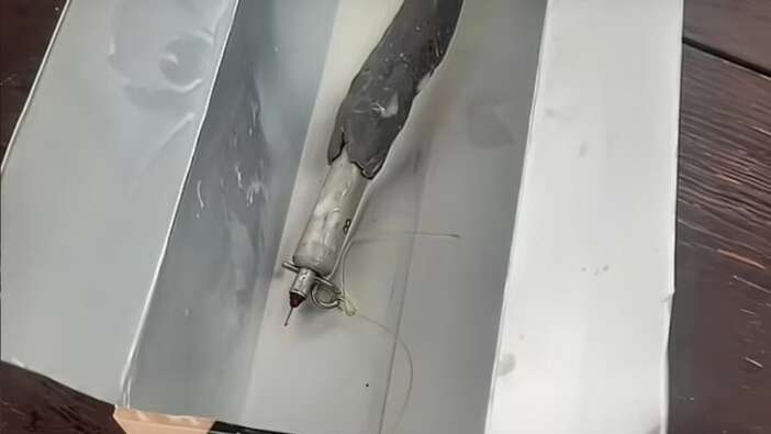 Rusya'nın Ukrayna'daki insanlık dışı tuzağı ortaya çıktı: Süt kutusuna bomba koydular