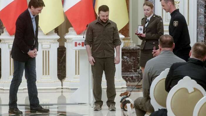 Ukrayna Devlet Başkanı Zelenskiy sosyal medya fenomeni köpeğe 'devlet nişanı' taktı
