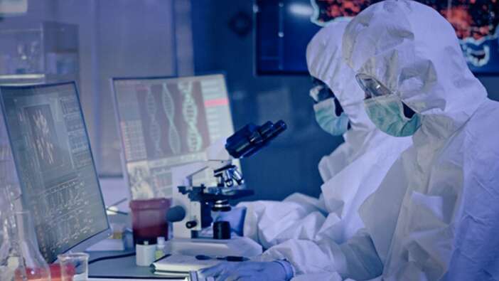 İsveçli bilim insanları yeni bir tür koronavirüs keşfetti: Kemirgenler arasında yayılıyor