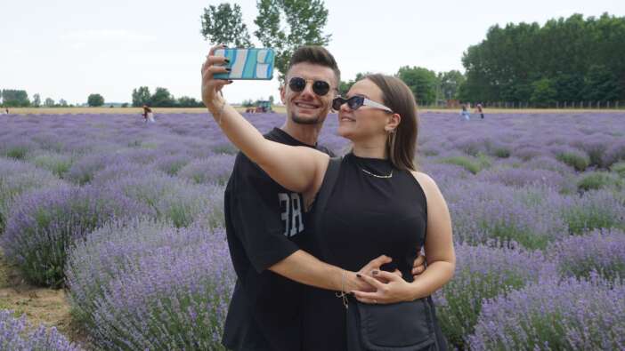 Edirne'de tarlalar mora boyandı! Telefonunu kapan lavantalara koştu
