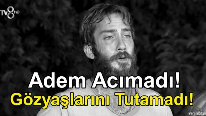 Survivor 2022'de Adem Kılıçcı, Ogeday'a Acımadı! Survivor Adem Adım Adım Şampiyonluğa Yürüyor!
