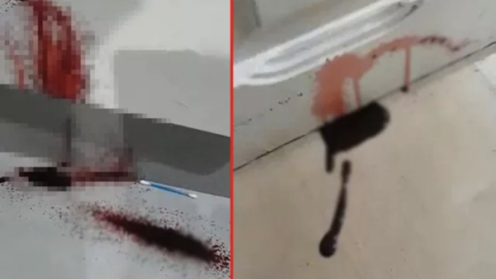 Böyle olay görülmedi! Kiraladıkları evin duvarlarından kan akıyor