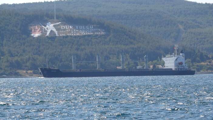 Ukrayna'dan İrlanda'ya gitmek üzere yola çıkan mısır yüklü "Navi Star" Çanakkale Boğazı'ndan geçti