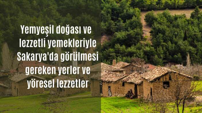 Yemyeşil doğası ve lezzetli yemekleriyle Sakarya’da görülmesi gereken yerler ve yöresel lezzetler