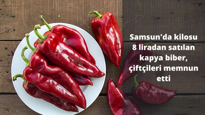 Samsun’da kilosu 8 liradan satılan kapya biber, çiftçileri memnun etti