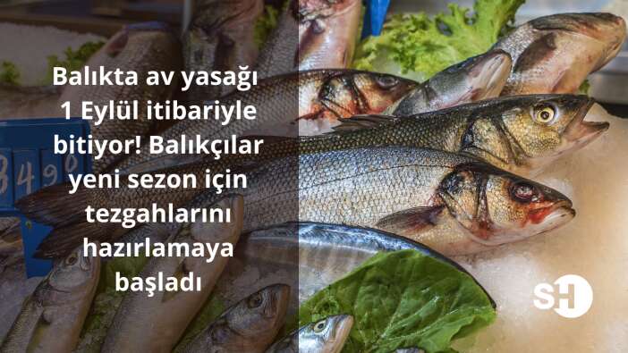 Balıkta av yasağı 1 Eylül itibariyle bitiyor! Balıkçılar yeni sezon için tezgahlarını hazırlamaya başladı