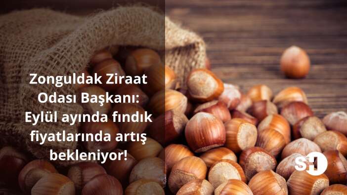 Zonguldak Ziraat Odası Başkanı: Eylül ayında fındık fiyatlarında artış bekleniyor!