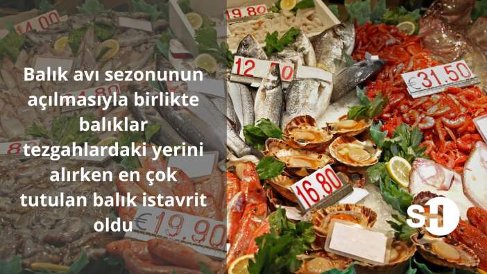 Balık avı sezonunun açılmasıyla birlikte balıklar tezgahlardaki yerini alırken en çok tutulan balık istavrit oldu!