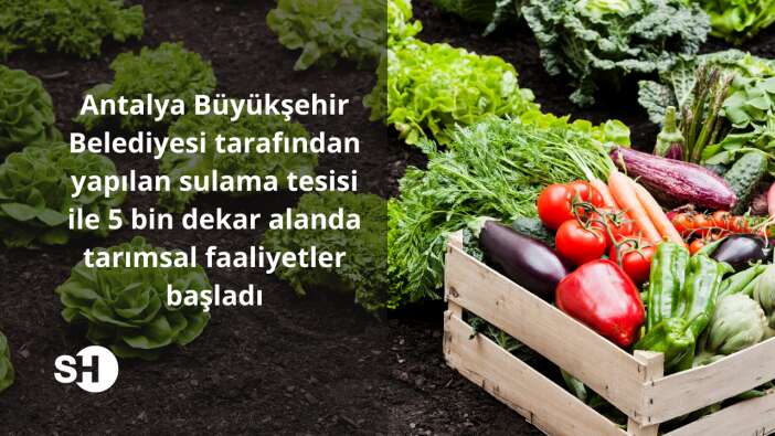 Antalya Büyükşehir Belediyesi tarafından yapılan sulama tesisi ile 5 bin dekar alanda tarımsal faaliyetler başladı