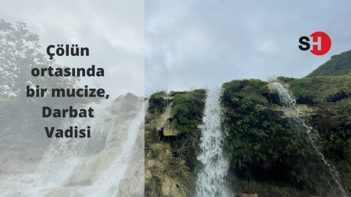 Çölün ortasında bir mucize Darbat Vadisi