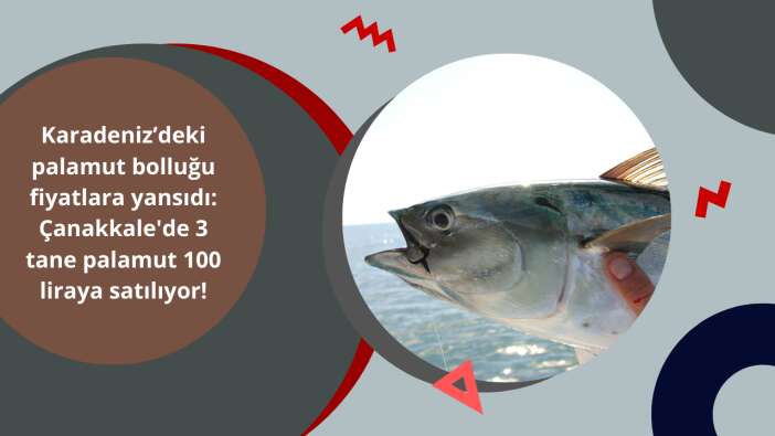 Karadeniz’deki palamut bolluğu fiyatlara yansıdı: Çanakkale'de 3 tane palamut 100 liraya satılıyor!