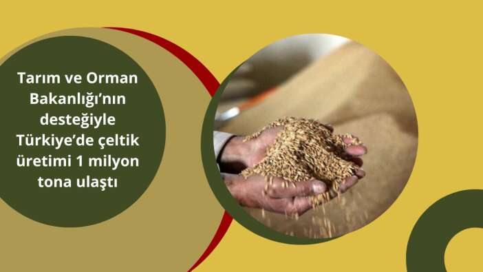 Tarım ve Orman Bakanlığı’nın desteğiyle Türkiye’de çeltik üretimi 1 milyon tona ulaştı
