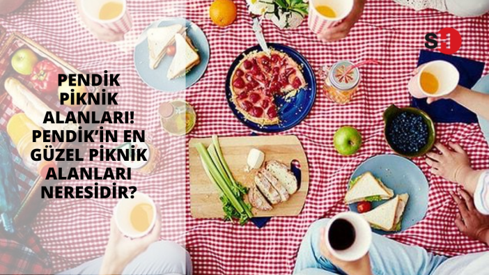 Pendik piknik alanları! Pendik’in en güzel piknik alanları neresidir?