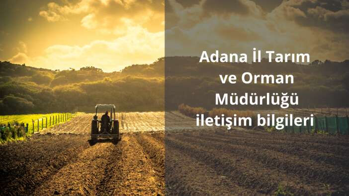 Adana İl Tarım ve Orman Müdürlüğü iletişim bilgileri, adres ve telefon numarası