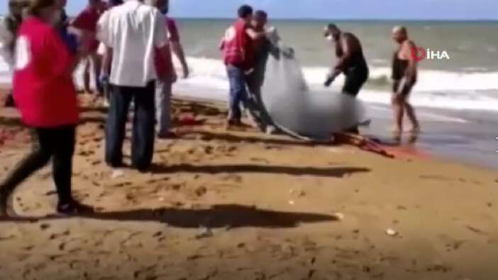 Suriye açıklarında batan göçmen teknesinde can kaybı 94'e yükseldi