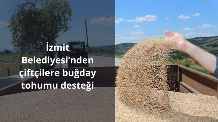 İzmit Belediyesi’nden çiftçilere buğday tohumu desteği