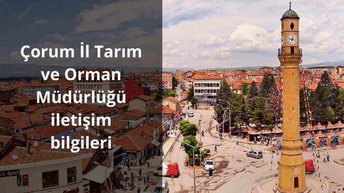 Çorum İl Tarım ve Orman Müdürlüğü iletişim bilgileri