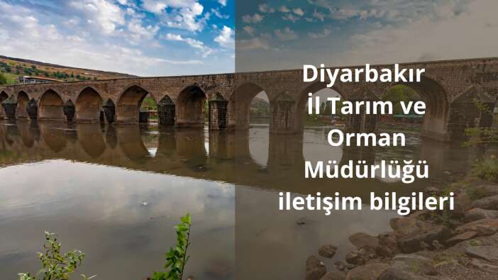 Diyarbakır İl Tarım ve Orman Müdürlüğü iletişim bilgileri