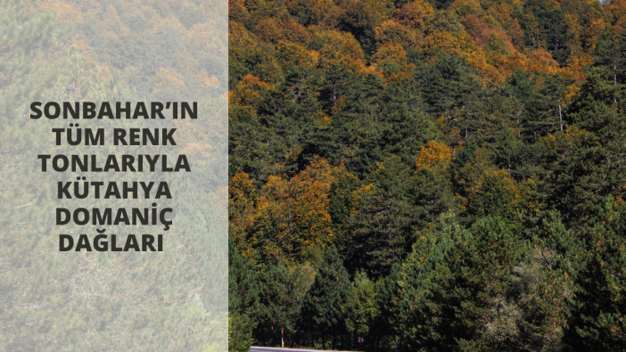 Sonbahar’ın tüm renk tonlarıyla Kütahya Domaniç Dağları