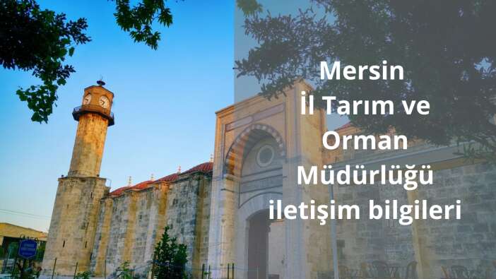 Mersin İl Tarım ve Orman Müdürlüğü iletişim bilgileri