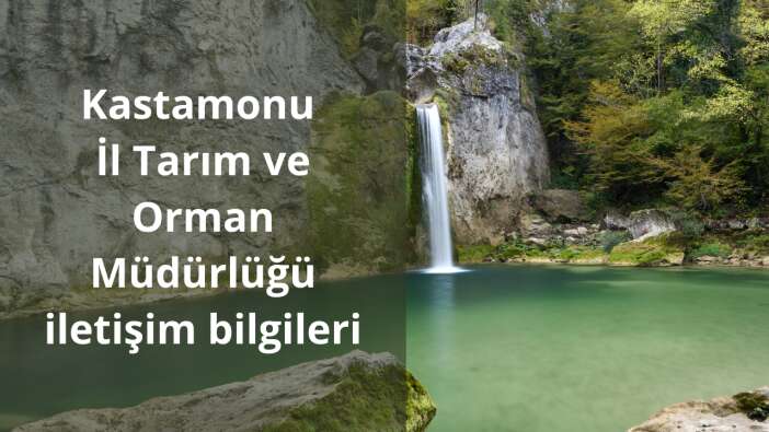 Kastamonu İl Tarım ve Orman Müdürlüğü iletişim bilgileri