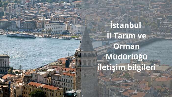 İstanbul İl Tarım ve Orman Müdürlüğü iletişim bilgileri