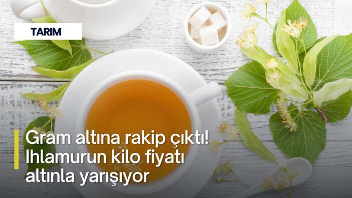 Gram altına rakip çıktı! Ihlamurun kilo fiyatı altınla yarışıyor