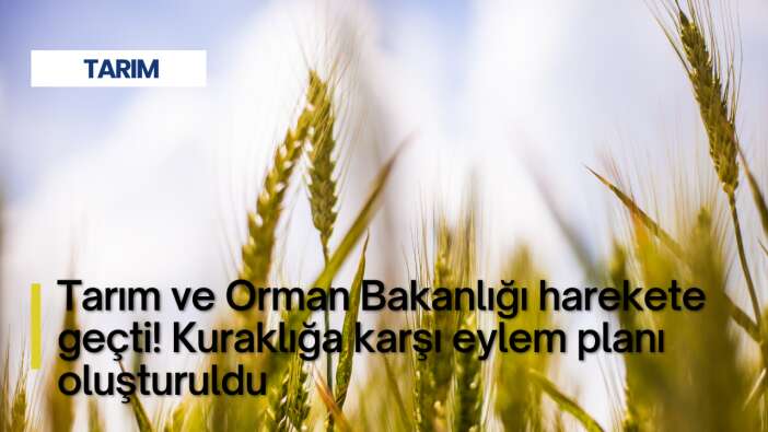 Tarım ve Orman Bakanlığı harekete geçti! Kuraklığa karşı eylem planı oluşturuldu