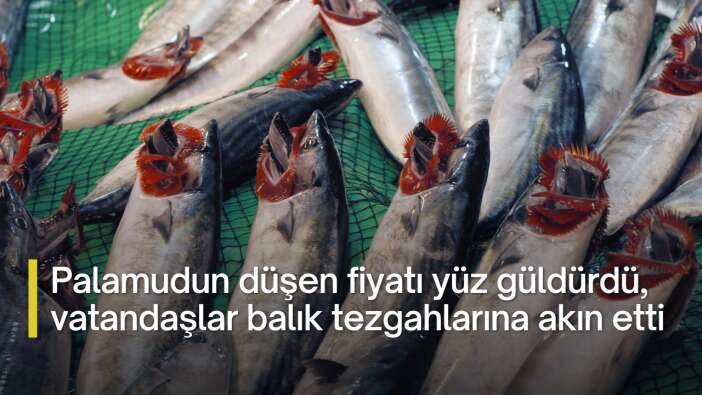 Palamudun düşen fiyatı yüz güldürdü, vatandaşlar balık tezgahlarına akın etti