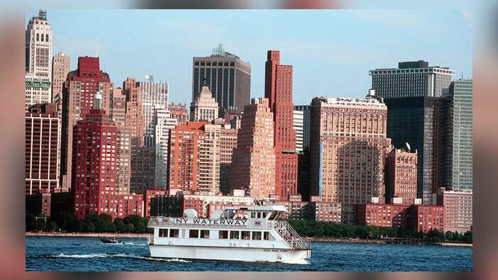 New York'da fareler için 32 milyon dolarlık bütçe!