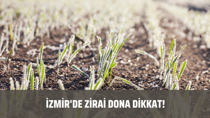 İzmir'de hava sıcaklığı eksilere inecek! Zirai dona dikkat!