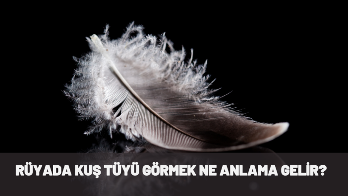 Rüyada kuş tüyü görmek ne anlama gelir?
