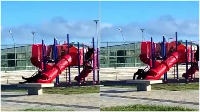 Çocuk parkında eğlenmek isterken kaydırakta sıkıştı! Şili Devlet Başkanı'nın zor anları kamerada