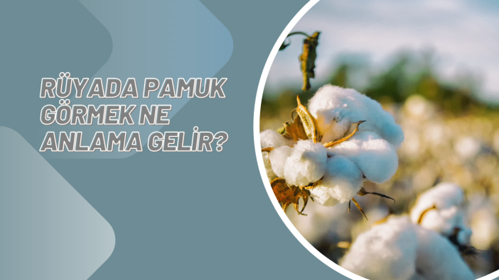 Rüyada pamuk görmek ne anlama gelir?