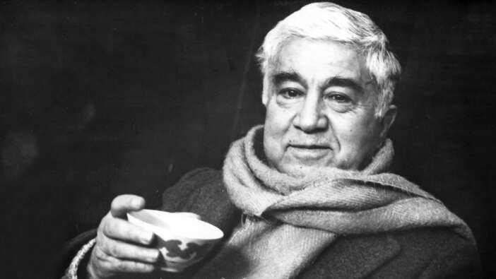 Aziz Nesin'in "Türk Halkının %60'ı aptaldır" sözüne Nedim Şener'den çarpıcı yorum