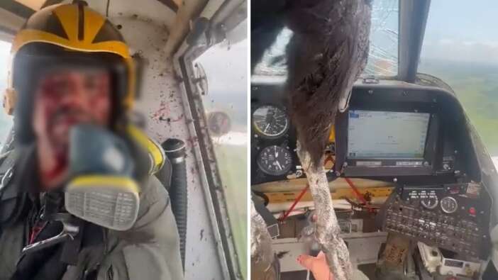 Kokpite dev kartal girdi! Pilotun soğukkanlılığı 'Yok artık' dedirtti!