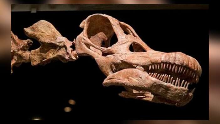 En büyük dinozorun fosilleri keşfedildi!