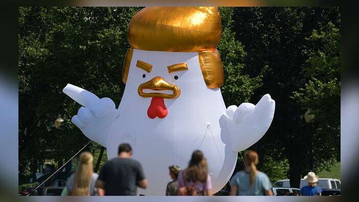 Beyaz Saray yakınındaki tavuk Trump'a büyük ilgi!