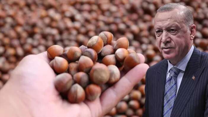 Cumhurbaşkanı Recep Tayyip Erdoğan duyurdu! Fındık alım fiyatları belli oldu